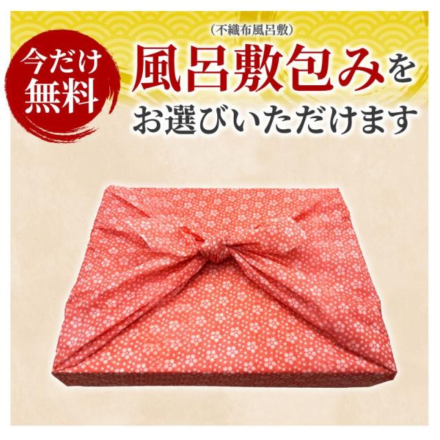 お中元 ビフテキ肉 牛 差し上げ物 掛川牛 サーロインビフテキ400g (200g×2枚) 黒毛和牛 A5・A4カテゴリー化 国産 肉 差し上げ物 食物 内祝い 御祝い 静岡 御膳上等 差し上げ物 凝結