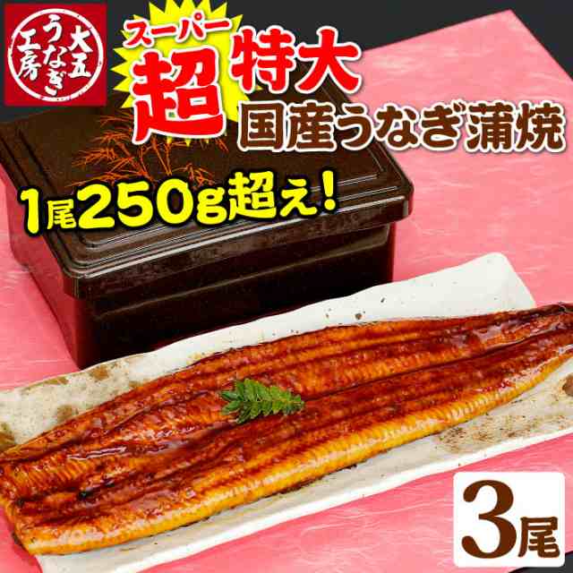 丑の日　au　国産うなぎ　蒲焼き　超特大うなぎ蒲焼　土用の丑の日　蒲焼　送料無料の通販はau　マーケット　大五うなぎ工房　250g以上×3尾セット（6〜9人前）　PAY　ご自宅用　冷凍　PAY　マーケット－通販サイト