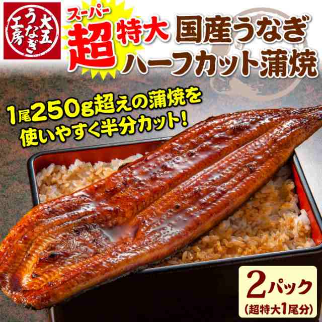 土用の丑 うなぎ蒲焼き5人前 国産 送料無料 - ウナギ、鰻