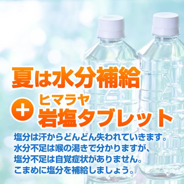 【送料無料/大口割引】 ヒマラヤ岩塩タブレット【携帯ケース入り50錠】 ×50個セット （熱中対策グッズ・塩飴・熱中飴）_3