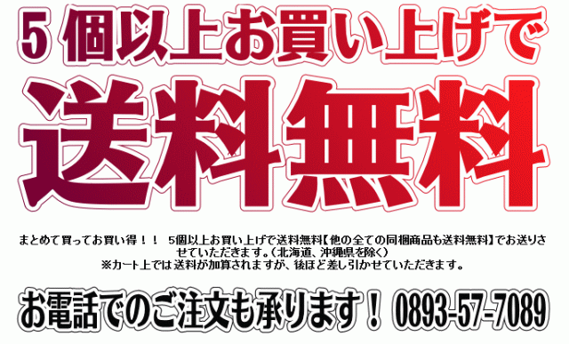 南ウキ キングモデル (MINAMI KING MODEL) 南康史名人監修 南ウキ最