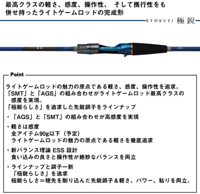ダイワ 25 極鋭 LG 91H-170 / 船竿 daiwa 釣具