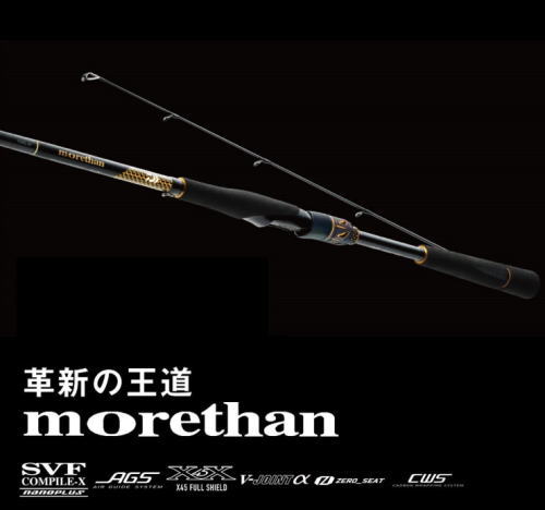 25morethan 96ML/M ダイワ　モアザン ダイワ 25 モアザン 96ML/M・J / シーバスロッド daiwa 釣具の通販は