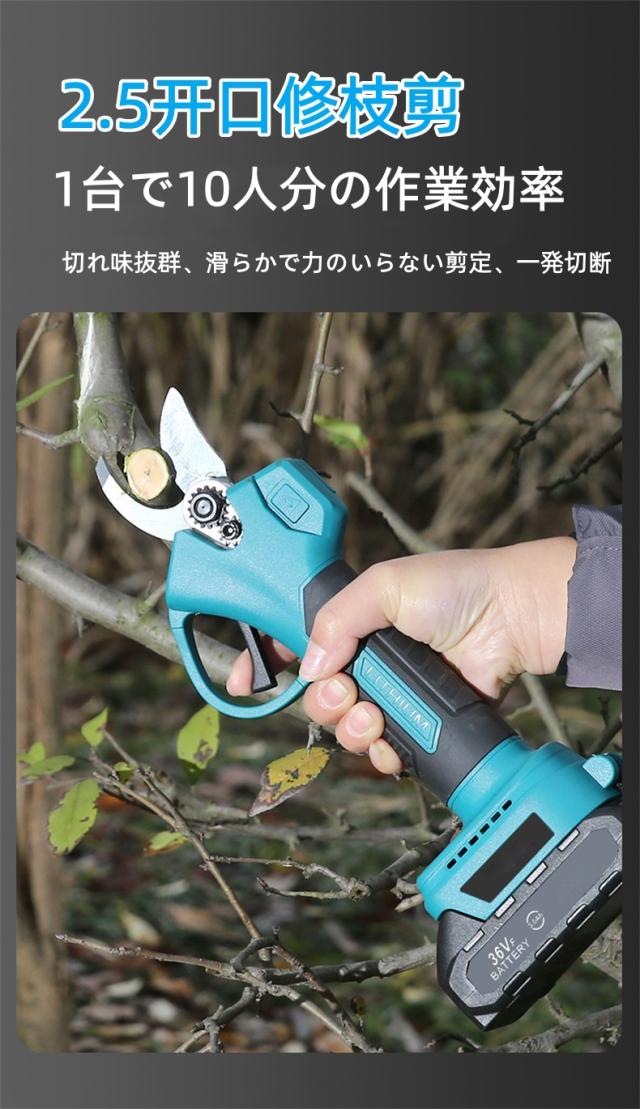 【2026年新モデル】AOTUO 高枝剪定鋏＆チェーンソーセット 36V リチウム電動 2m伸縮ポール付き 4m高枝対応 SK5刃 軽量0.95kg 3.0Ah大容量バッテリー 伐木 剪定 庭木 果樹園 ギフト_2
