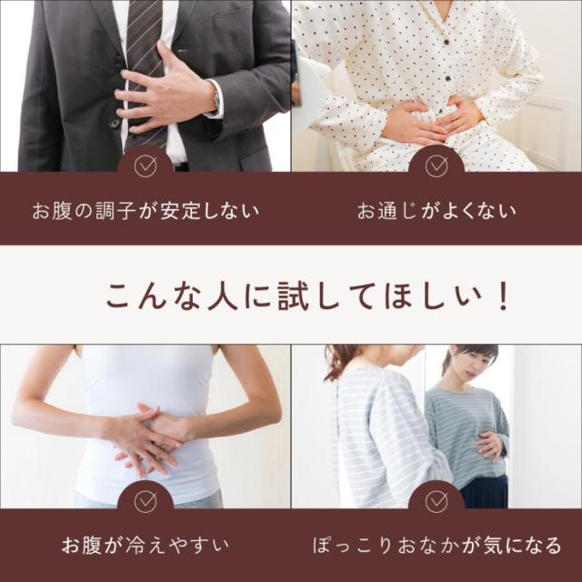 腸活 グッズ 便秘 お通じ 便通 改善 解消 マッサージ Techlove 腸活温熱マッサージベルト 【充電式/お腹温め】冷え性・お通じケア スッキリサポート 腸内環境グッズ 冷え性 スッキリ ベルト 腸ケア温熱ベルト アメプラ_2