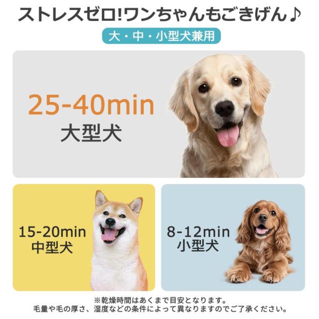 【10％OFF】ペットドライヤー 犬 大風量 プロ 犬用ドライヤー 業務用 美容ケア 家庭用 ブロワー 風量/温度調整 4ノズル付 乾燥機 小型犬 大型犬 猫 乾燥 爆買