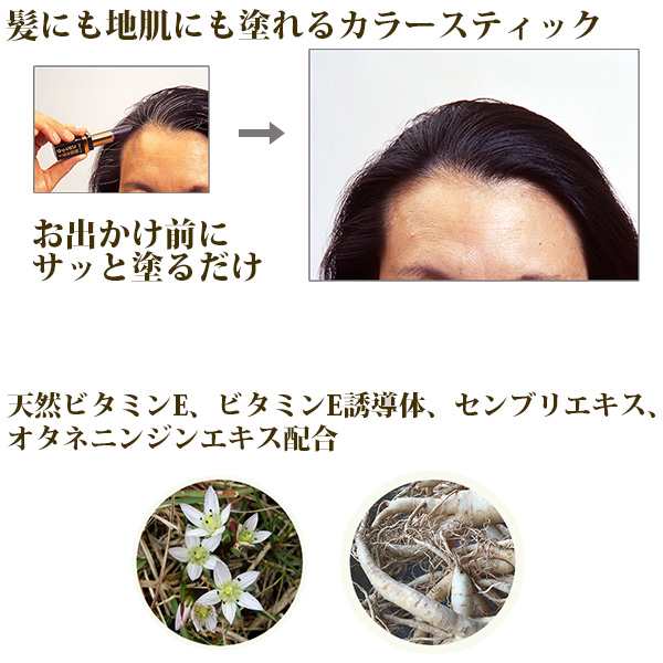 白髪隠し トミーリッチ 黒髪カラースティック ヘアカラー スティックタイプ 白髪かくし 部分染め 頭髪ケア 頭皮ケア 育毛 抜け毛ケア の通販はau Pay マーケット Kurazo よろずやくら蔵