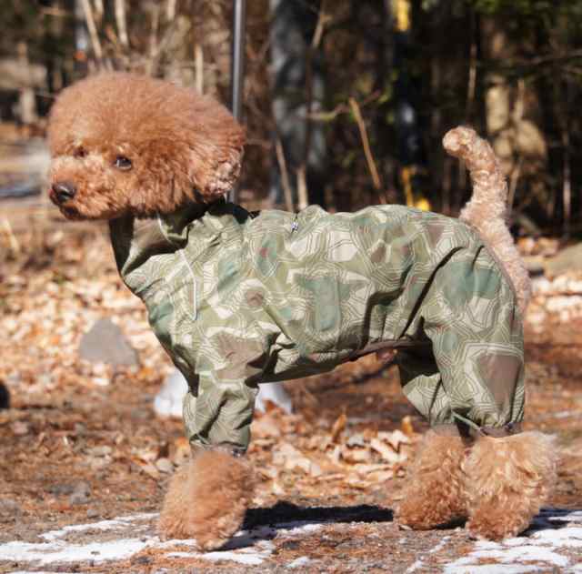 Hurtta フルッタ ドッグレインコート Downpour Suit ダウンポアスーツ 小型犬用の通販はau Pay マーケット 1stdogcafe