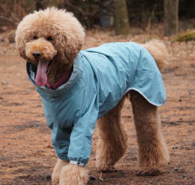 Hurtta フルッタ ドッグレインコート Rain Blocker レインブロッカー 中 大型犬用の通販はau Pay マーケット 1stdogcafe