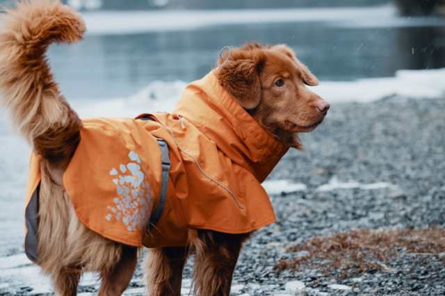 Hurtta フルッタ レインコート モンスーンコート 小型犬用の通販はau Pay マーケット 1stdogcafe