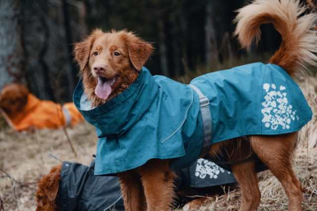 Hurtta フルッタ レインコート モンスーンコート 小型犬用の通販はau Pay マーケット 1stdogcafe