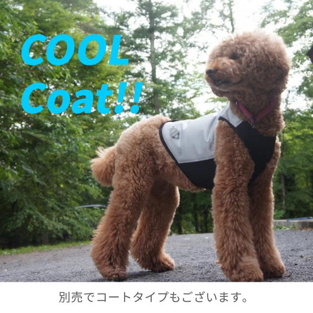 [CANI COOL]カニクール　クールマット　Ｍサイズ【クーリングマット】_9