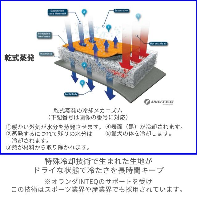 [CANI COOL]カニクール　クールマット　Ｍサイズ【クーリングマット】_2