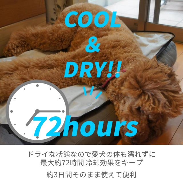 [CANI COOL]カニクール　クールマット　Ｍサイズ【クーリングマット】_4