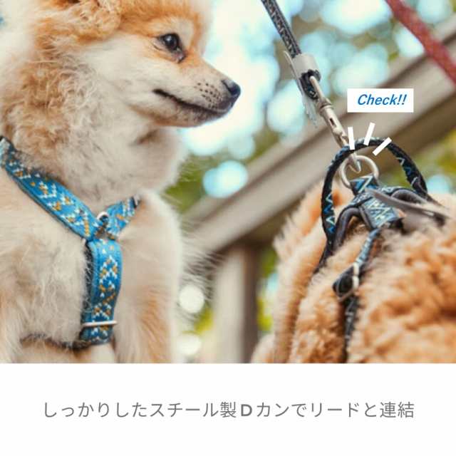 フィンランドのドッグブランド【Hurtta】【フルッタ】・ラズル フィンランドのドッグブランド【Hurtta】【フルッタ】・ラズル