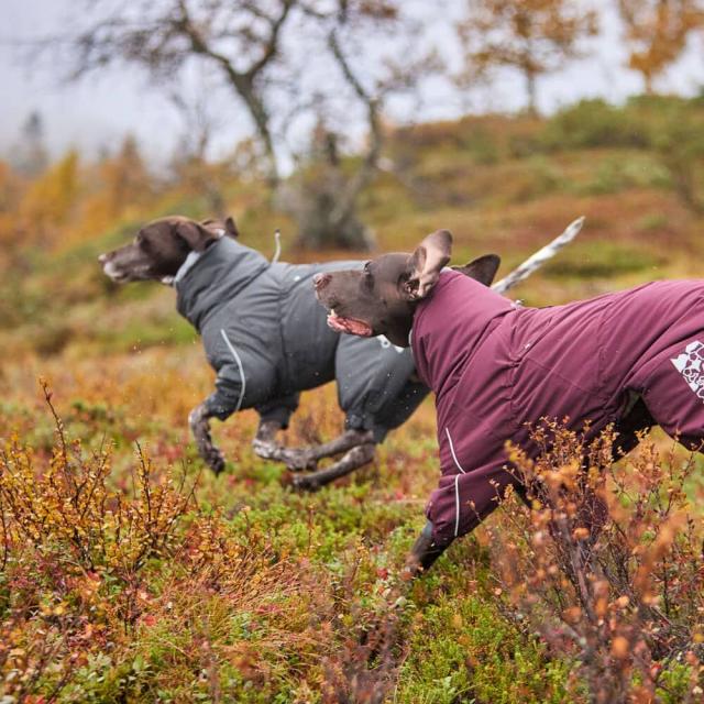 フィンランドのドッグブランド【Hurtta】【フルッタ】フルッタ史上最強