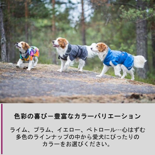 フィンランドのドッグブランド【Pomppa】史上最強レベルの防寒 フィンランドのドッグブランド【Pomppa】史上最強レベルの防寒