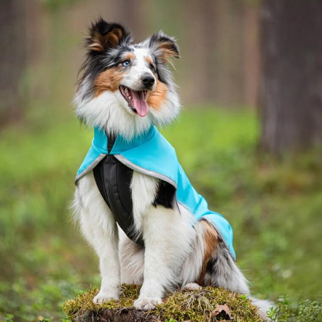 Pomppa(ポムッパ) ペルス ポムッパ ミント 65 Pomppa ポムッパ ペルス ポムッパ ミント 56 Pomppa ポムッパ ペルス