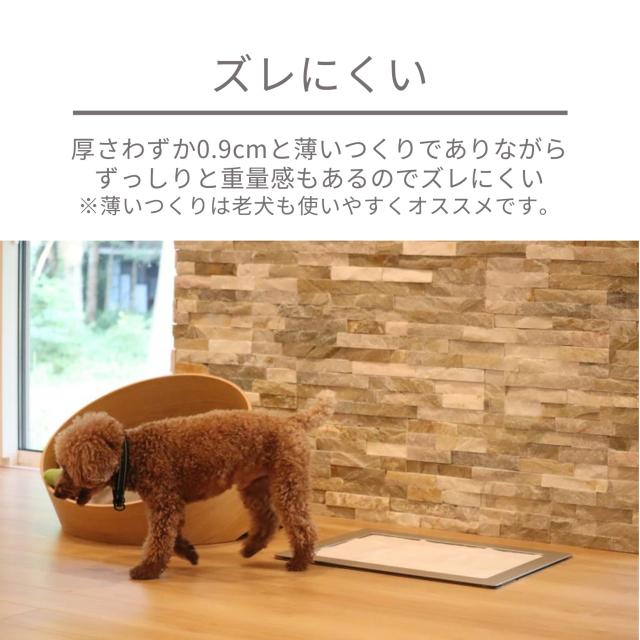 Hakusan(ハクサン) ファーストイレット (ダブルワイドサイズ, クローム)