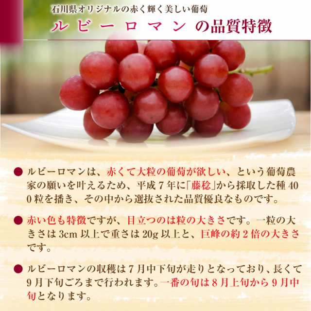 評判 ふるさと納税 No.2651フルーツ2種定期便 桃約3kg 梨約3kg 福島県福島市