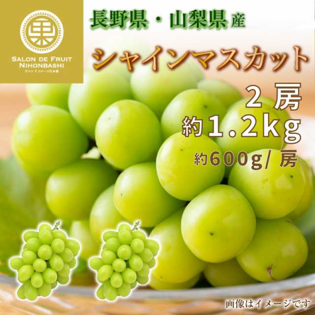 予約 9月1日-9月30日の納品] シャインマスカット 2房 約1.2kg 約600g x2 長野県 山梨県産 マスカット ぶどう  秋の味覚の通販はau PAY マーケット - サロンドフルーツ 日本橋