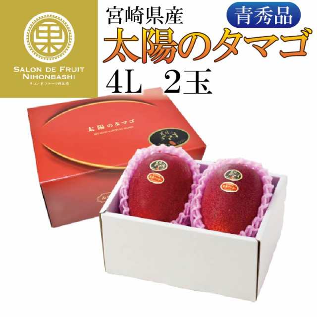 [予約 8月10日-8月15日の納品] マンゴー 完熟マンゴー 特大 5L 2玉 JA宮崎中央