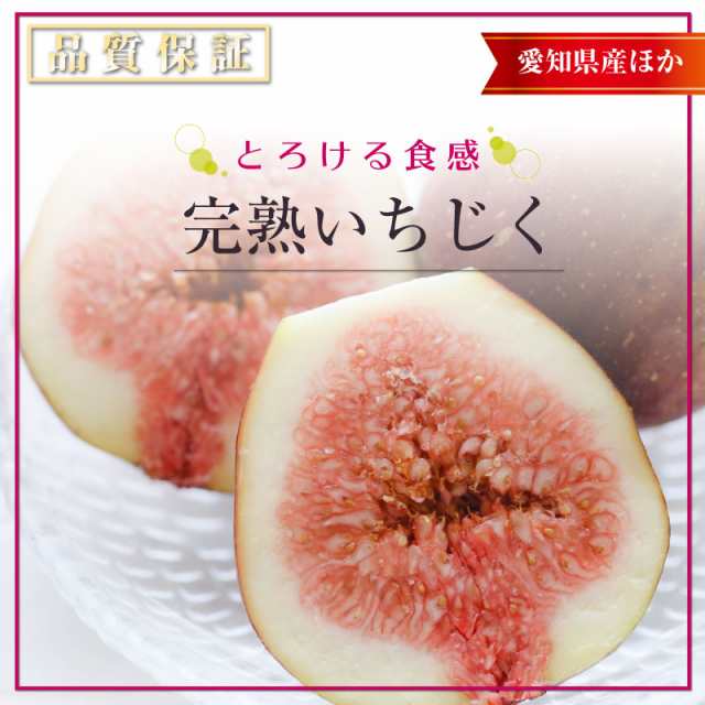 被り心地最高 順次発送 完熟いちじく イチジク 約 600g 大玉 約300g X 2パック 無花果 化粧箱 専用箱 いちじく 贈答用 通販 ランキング受賞 Carlavista Com