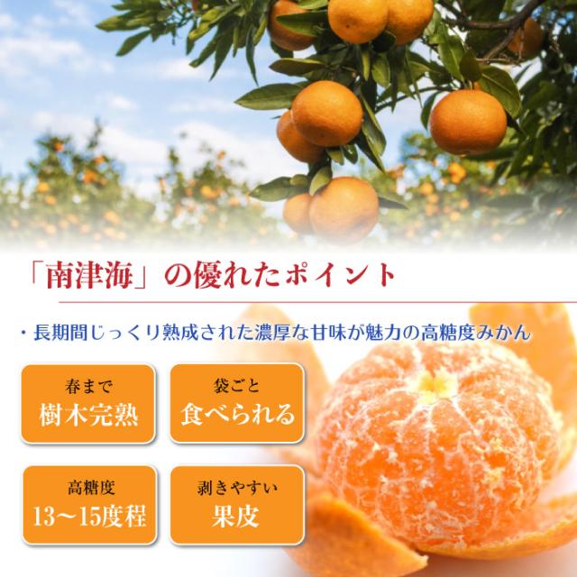 最短順次発送 南津海 なつみ 約4kg 2l 3lサイズ 佐賀県産ほかの通販はau Pay マーケット サロンドフルーツ 日本橋