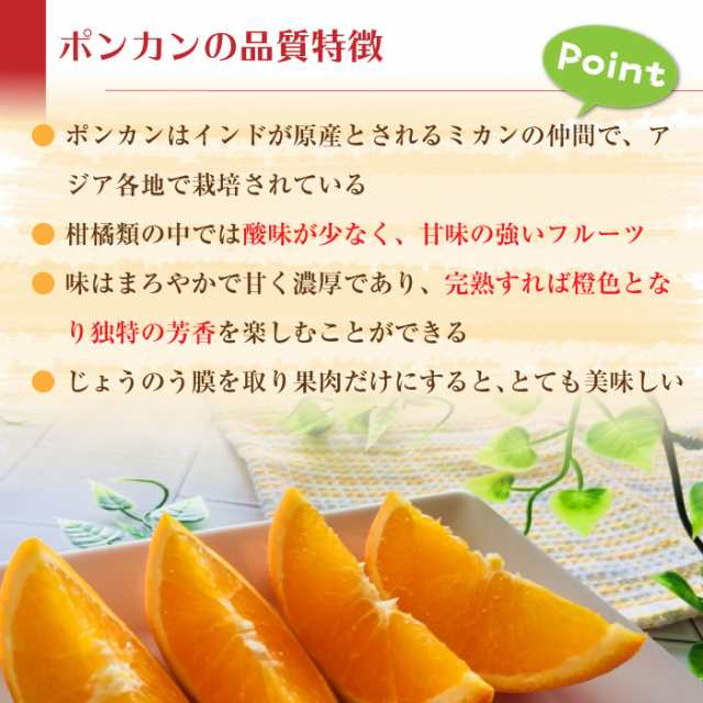 予約 1月5日-2月5日の納品] ポンカン 約9kg 2L 3L 愛媛県産ほか お年賀 御年賀の通販はau PAY マーケット - サロンドフルーツ  日本橋