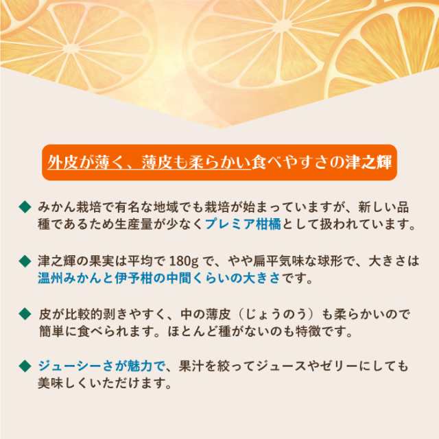 予約 2022年12月中下旬頃から発送 津之輝 約1.5kg つのかがやき 果物ギフト 津の輝 果実専用箱 高級 佐賀県産ほか みかん 柑橘 上級品  糖度約13度 津の輝き 甘い