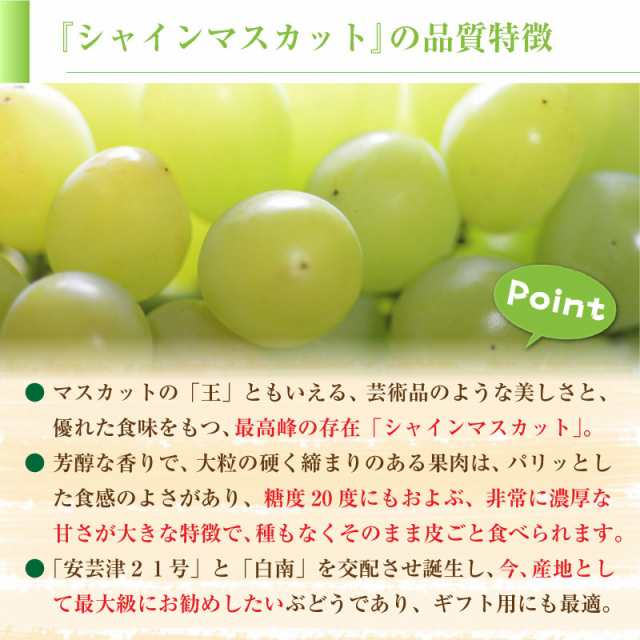 予約 9月1日-9月30日の納品] シャインマスカット 2房 約1.2kg 約600g x2 長野県 山梨県産 マスカット ぶどう  秋の味覚の通販はau PAY マーケット - サロンドフルーツ 日本橋