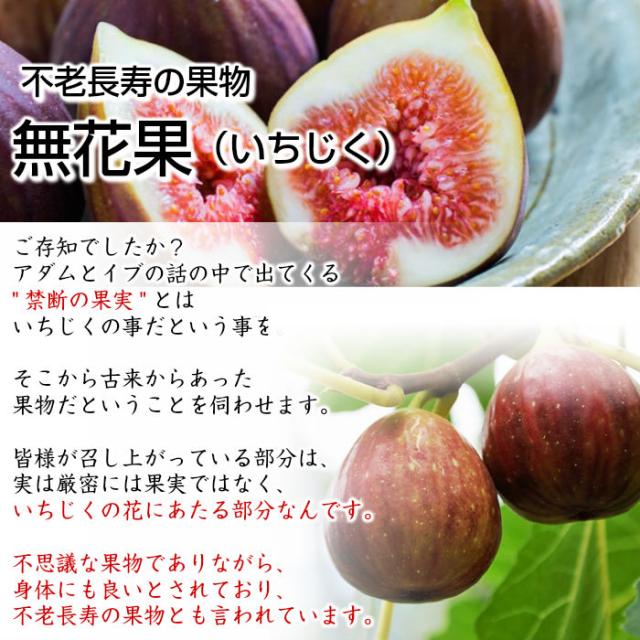 完熟 いちじく 大玉サイズ ２パック 化粧箱 ご贈答用 ギフト 敬老の日 限定 生花 メッセージカード 送料無料 美味しいいちじくの通販はau Pay マーケット ナチュラルストア