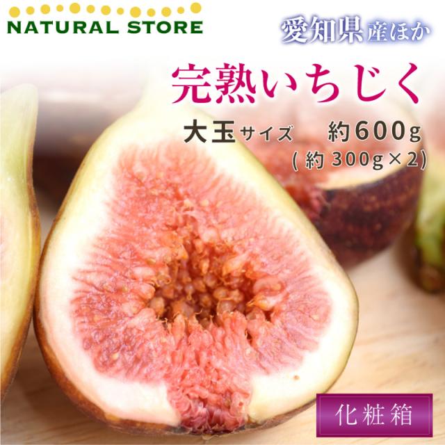 当日発送可 完熟いちじく イチジク 約 600g 大玉 約300g X 2パック 無花果 化粧箱 専用箱 いちじく 贈答用 通販の通販はau Pay マーケット ナチュラルストア 当日発送可 完熟いちじく イチジク 約 600g 大玉 約300g X 2パック 無花果 化粧箱 専用箱 いちじく 贈答用 通販の通販はau Pay マーケット ナチュラルストア