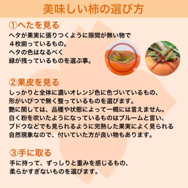 予約 11月1日-11月30日の納品 富有柿 3kg かき 甘柿 約 奈良 産地厳選 7-12玉 ふゆうがき 和歌山 化粧箱 柿 高品位 愛媛他