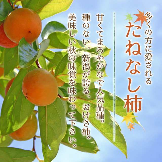 予約 10月1日-10月15日の納品] おけさ柿 八珍柿 たねなし柿 7-12玉 約2.5kg 新潟県産 秋ギフト 平核無 刀根早生 甘柿 化粧箱 柿の通販はau  PAY マーケット - サロンドフルーツ 日本橋