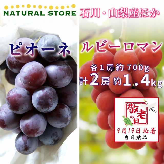 最大92%OFFクーポン ぶどう 石川産 ”ルビーロマン” 1房 約600g以上 送料無料