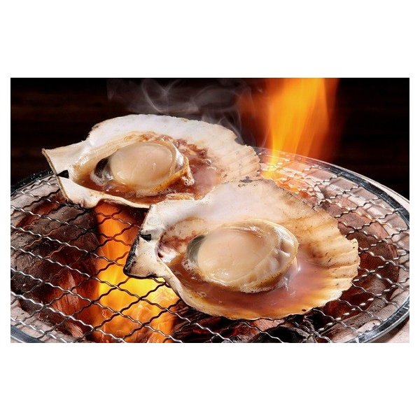 1月中旬日以降ご納品分 送料無料 産地直送 活ホタテ ２キロ 大きめ１０ １２枚入り 青森県平内町産 成貝 ホタテ貝用剥きヘラ の通販はau Pay マーケット ナチュラルストア