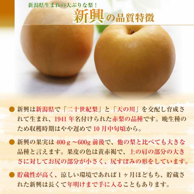 最大46%OFFクーポン 梨 食べ比べセット 専用ページ