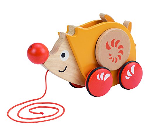 Hape(ハペ) ウォーク ア ロング ヘッジホッグ E0350