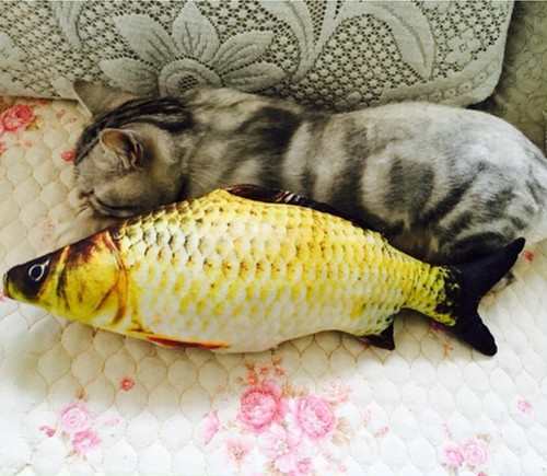 1m 超リアル 魚 ぬいぐるみ 大きい おもちゃ 子供 子ども 猫 おもちゃ ぬいぐるみ 魚のおもちゃ 赤 黄色 レッド イエロー グッズ おもしの通販はau Pay マーケット Coloring Life