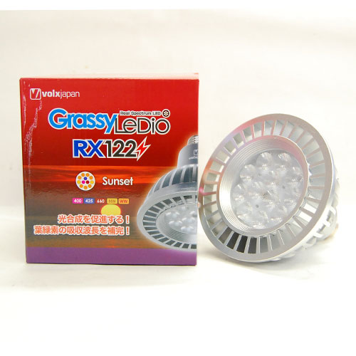 ボルクス　Grassy LeDio RX122 サンセット 淡水海水両用の通販は