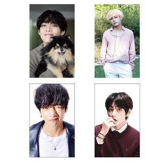 BTSグッズ☆【 V 】 トレカ8種セット☆ブイ防弾少年団バンタン