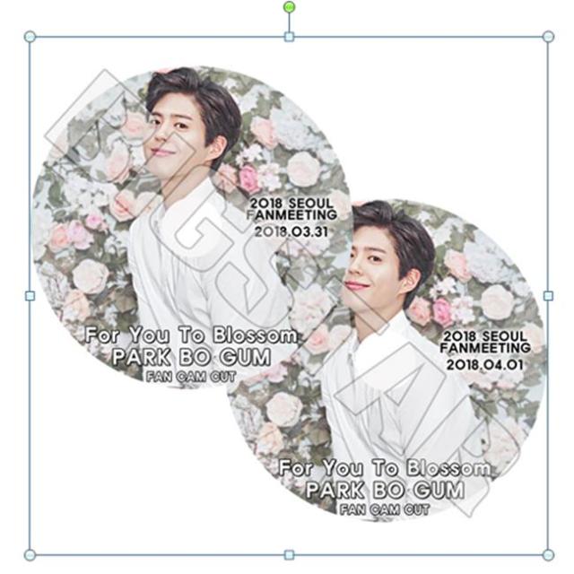 K-POP DVD パクボゴム PARK BOGUM 2018 SEOUL FANMEETING 2種セット