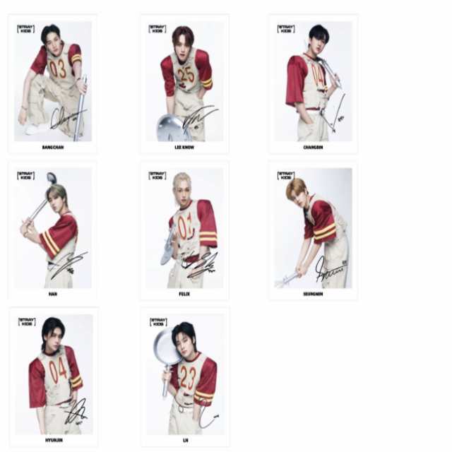 Stray Kids スキズ IN生 限定盤フォトフレーム 拾える トレカ