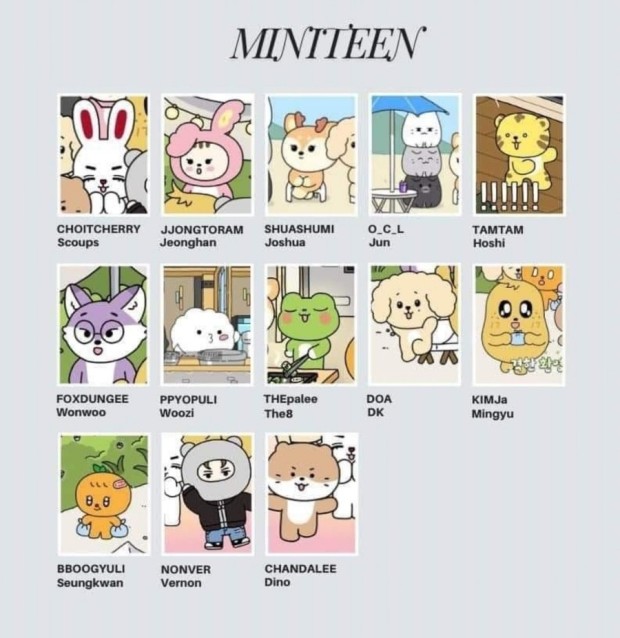 ミニティーン☆SEVENTEENティーンケースteencase☆セブンティーン韓流