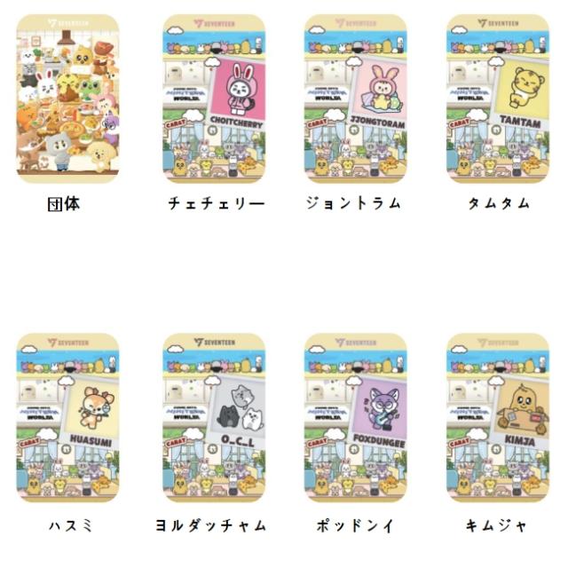 ミニティーン☆SEVENTEENティーンケースteencase☆セブンティーン韓流