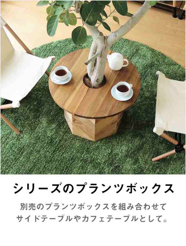 プランターテーブル サイドテーブル PLT Plants Table(プランツテーブル） サークルΦ45cm カラー（チーク・マンゴー） 天然木 観葉植物テーブル 西海岸