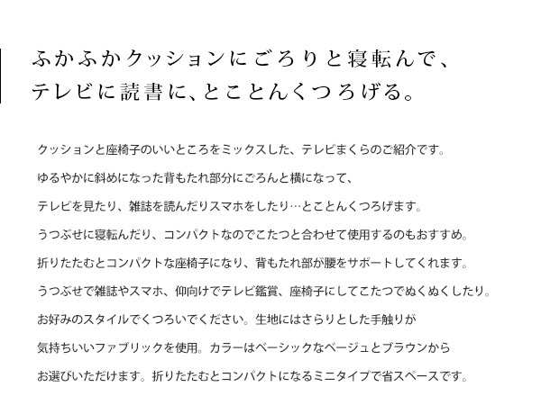 TV枕 テレビ枕 小さめ省スペースタイプMINI テレビクッション ごろ寝枕 ごろ寝クッション ごろ寝マット【送料無料】[ld]の通販はau PAY  マーケット - MARUSYOU まるしょう