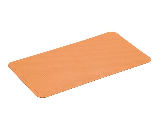 すべり止めマット PN-L10202D L オレンジ 浴室用 25-2579-03 パナソニックエイジフリー 6セット