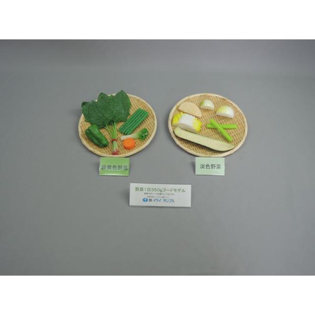 フードモデル１日３５０ｇ組合 13-E(Eタイプ)ジシャクナシの通販は